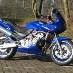 Schepers Motoren Design - Honda Hornet