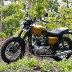 Schepers Motoren Design - Kawasaki W650 Scrambler