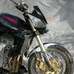 Schepers Motoren Design - Kawasaki Z1000 special